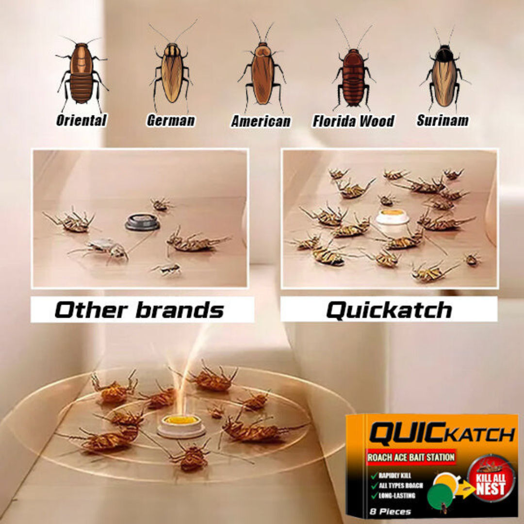 Bait station for cockroaches 